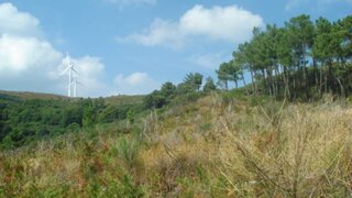 Land for sale in Baião, Portugal — €25,000