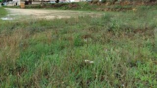 Land for sale in Valença, Portugal — €1,000,000