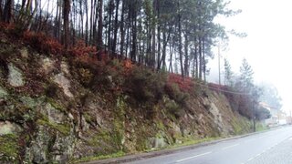 Land for sale in Amarante, Portugal — €320,000