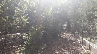 Terreno de 668 m² em Viana do Castelo
