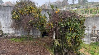 Land for sale in Marco de Canaveses, Portugal — €17,500