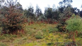Terreno em Viana do Castelo · 1725 m² · 150 000 €