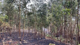 Land for sale in Penafiel, Portugal — €35,000