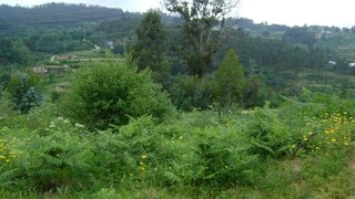 Land for sale in Marco de Canaveses, Portugal — €35,000