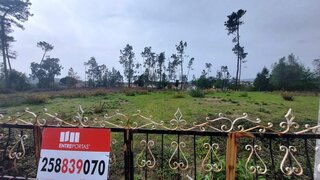 Terreno em Viana do Castelo · 11 230 m² · 250 000 €
