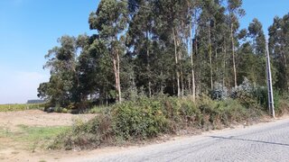Land for sale in Vila do Conde, Portugal