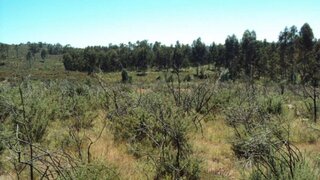 Land for sale in Paços de Ferreira, Portugal — €60,000