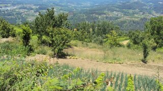 Land for sale in Cinfães, Portugal — €27,500