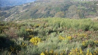 Land for sale in Baião, Portugal — €55,000