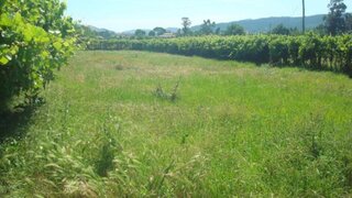 Terreno de 2200 m² em Viana do Castelo