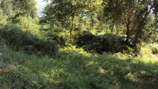 Land for sale in Marco de Canaveses, Portugal — €95,000