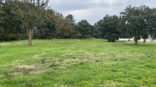 Land for sale in Marco de Canaveses, Portugal — €280,000