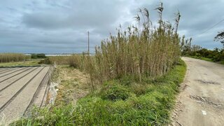 Terreno em Póvoa de Varzim