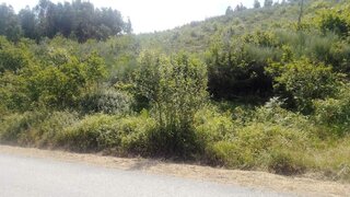 Land for sale in Cinfães, Portugal — €21,000