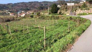 Land for sale in Baião, Portugal — €87,500