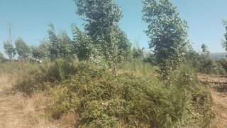 Land for sale in Marco de Canaveses, Portugal — €57,000