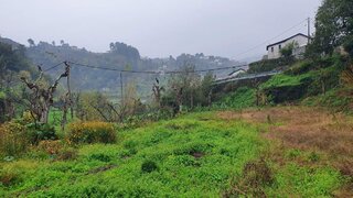 Land for sale in Marco de Canaveses, Portugal — €60,000