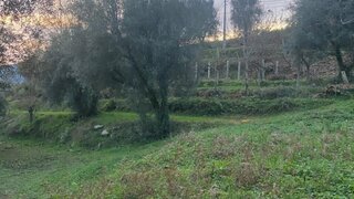 Land for sale in Ponte de Lima, Portugal — €73,000