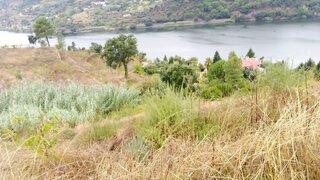 Land for sale in Resende, Portugal — €350,000