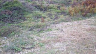 Land for sale in Baião, Portugal — €21,500