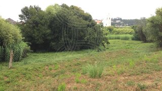 Terreno em Coimbra · 28 500 m² · 2 500 000 €