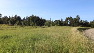 Terreno · 4030 m² · 67 500 €