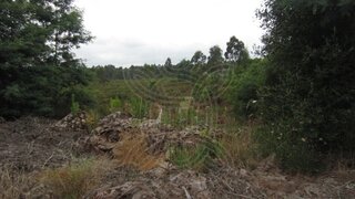 Terreno para venda em Águeda, Portugal