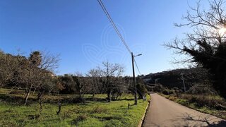 Land for sale in Condeixa-a-Nova, Portugal — €15,000