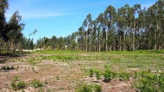 Terreno · 4030 m² · 39 900 €