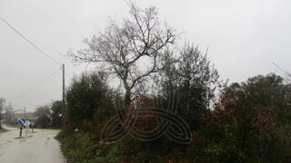 Terreno · 4290 m² · 17 500 €