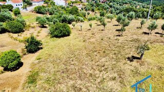 Land for sale in Tomar, Portugal — €80,000