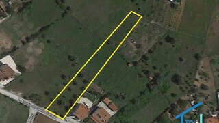 Land for sale in Tomar, Portugal — €57,000