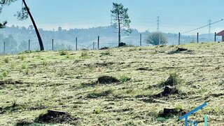 Land for sale in Tomar, Portugal — €125,000