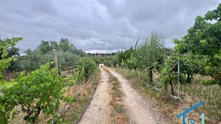 Land for sale in Tomar, Portugal — €60,000