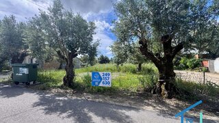 Land for sale in Tomar, Portugal — €40,000