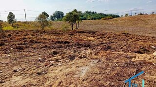 Land for sale in Tomar, Portugal — €18,000