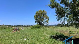 Land for sale in Tomar, Portugal — €65,000