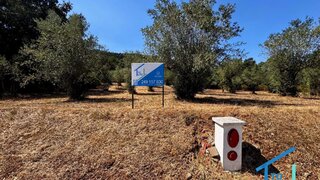 Land for sale in Ferreira do Zêzere, Portugal — €45,000