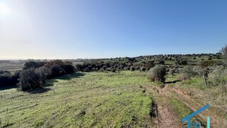 Land for sale in Torres Novas, Portugal — €80,000