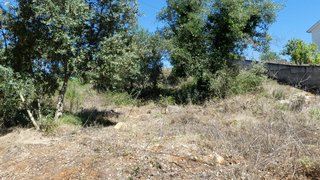 Terreno de 6000 m² em Coimbra
