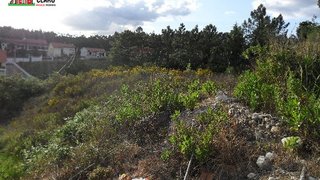 Land for sale in Coimbra, Portugal — €250,000