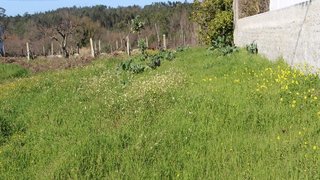 Land for sale in Soure, Portugal — €25,000