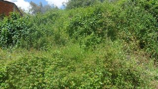 Land for sale in Coimbra, Portugal — €83,000