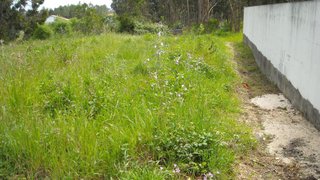 Land for sale in Figueira da Foz, Portugal — €60,000
