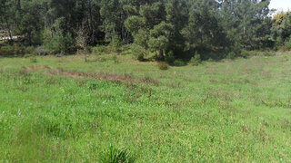 Terreno de 2400 m² em Coimbra