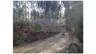 Land for sale in Sever do Vouga, Portugal — €27,500