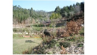 Land for sale in Sever do Vouga, Portugal — €91,000