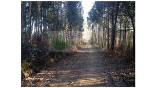 Land for sale in Sever do Vouga, Portugal — €50,000