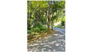 Land for sale in Sever do Vouga, Portugal — €50,000