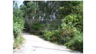 Land for sale in Sever do Vouga, Portugal — €50,000